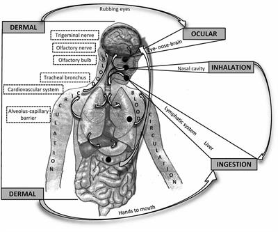 The Air We Breathe: Air Pollution as a Prevalent Proinflammatory Stimulus Contributing to Neurodegeneration